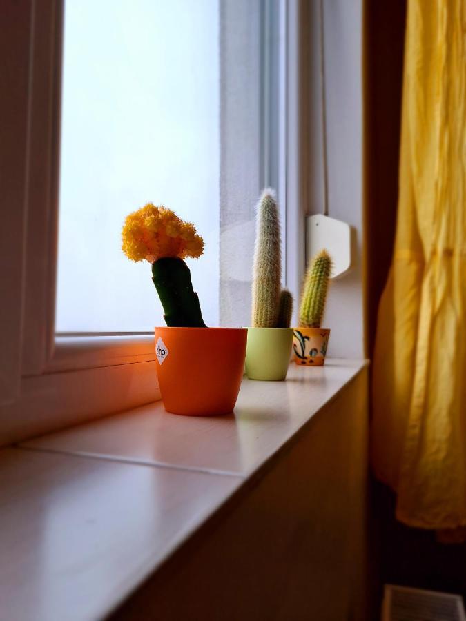 Cozy Apartment Арад Екстериор снимка